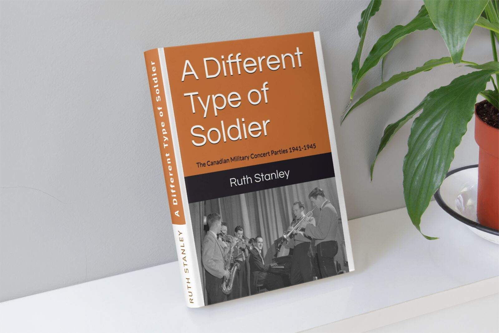 A Different Type of Soldier - Ruth Stanley